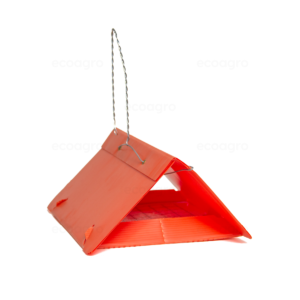 Trampa Delta de Plástico