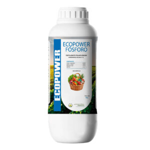 Eco Power Fósforo