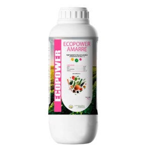 EcoPower Amarre Ca+B+Zn